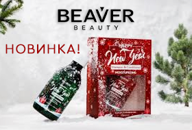 beaver-christmas-box